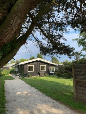 Nyistandsat sommerhus i Hornbæk,tæt på vand og by in Hornbæk
